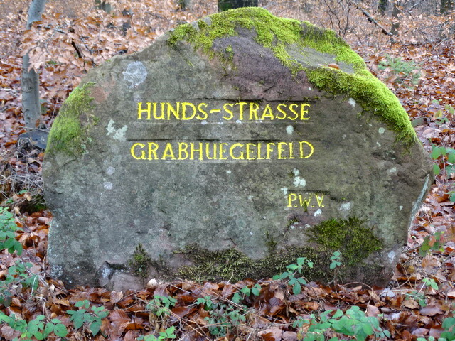Ritterstein Nr. 244 Hunds-Strasse Grabhuegelfeld östlich von Heltersberg an der L 499 (2018)