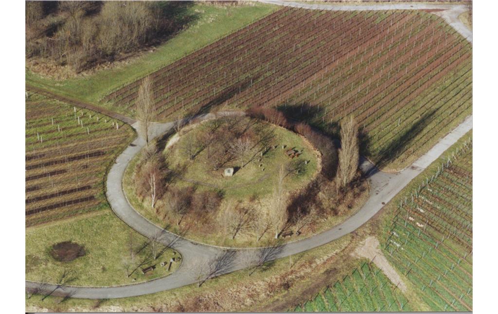 Burgstelle Geisberg bei Burrweiler (2001)