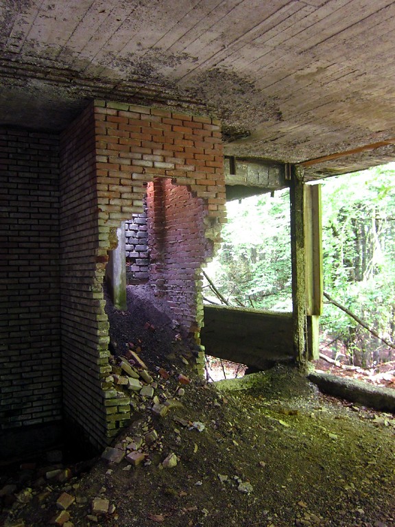 Der Kamin auf der Außenterrasse der Ruine der "Adenauervilla" im Kammerwald (2015).