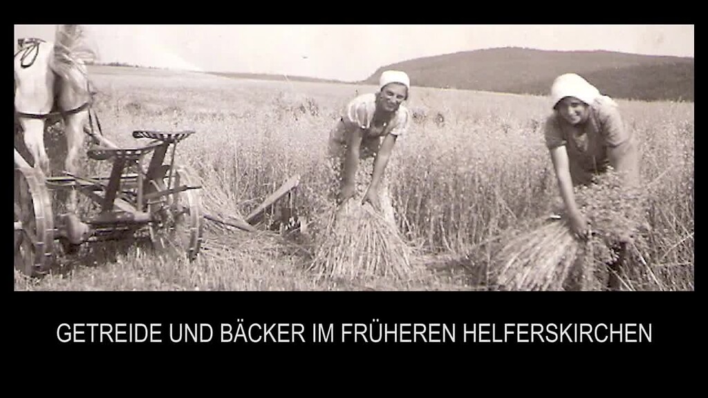 Video mit Menschen aus Helferskirchen zur Getreideernte und -verarbeitung im Ort (2012)