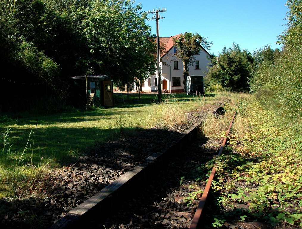 Seitenansicht des Bahnhofs Schwarzenbach mit dem Bahnsteig und zuwachsenden Gleisen (2016).
