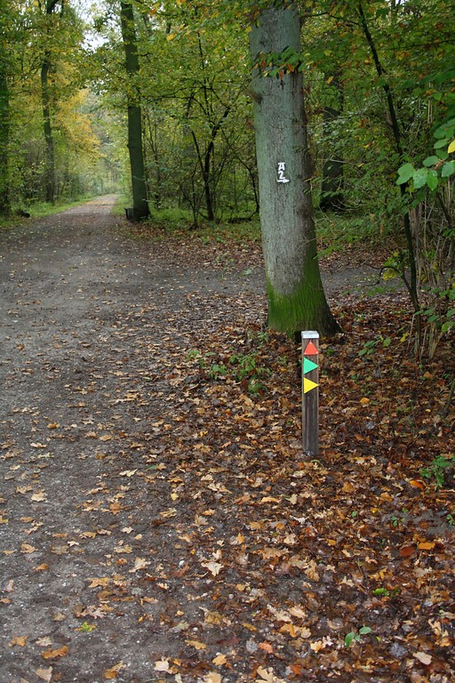 Bunte Wegmarkierugen zur Streckenauswahl an einer Weggabelung im Wohnungwald in Voerde (2014).