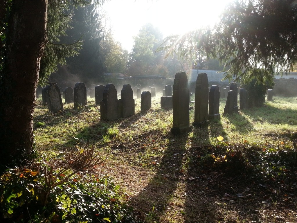Das Gräberfeld auf dem jüdischen Friedhof in Deckstein, Köln-Lindenthal, im Morgennebel (2013)
