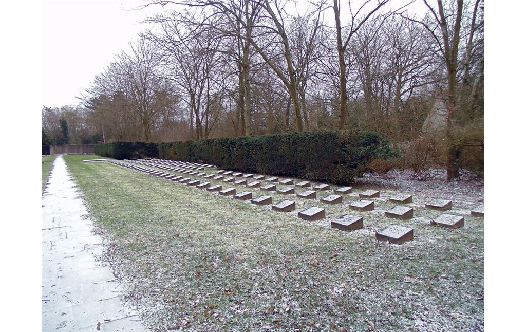 Blick von Westen aus auf das Gräberfeld für Opfer der NS-Krankenmorde auf dem Gräberfeld für deutsche und ausländische Opfer des Nationalsozialismus auf dem Westfriedhof in Köln-Vogelsang (2021).
