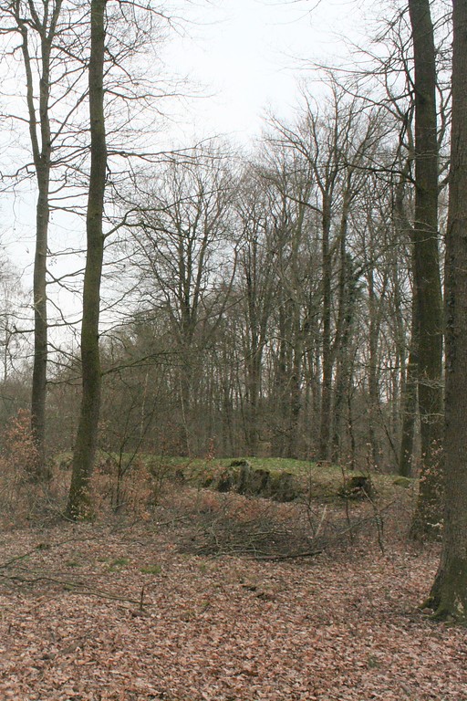 Großsteingrab "Langbett Albersdorf 48" im Steinzeitpark Dithmarschen (2019)