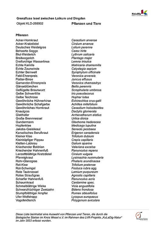 Liste von Pflanzen und Tieren an der Issel (2022)