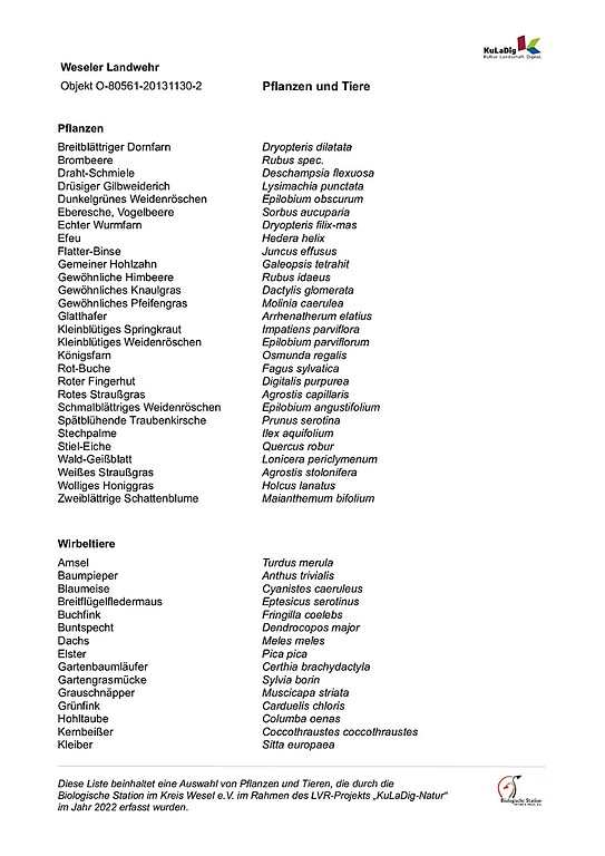 Liste von Pflanzen und Tieren an der Weseler Landwehr (2022)