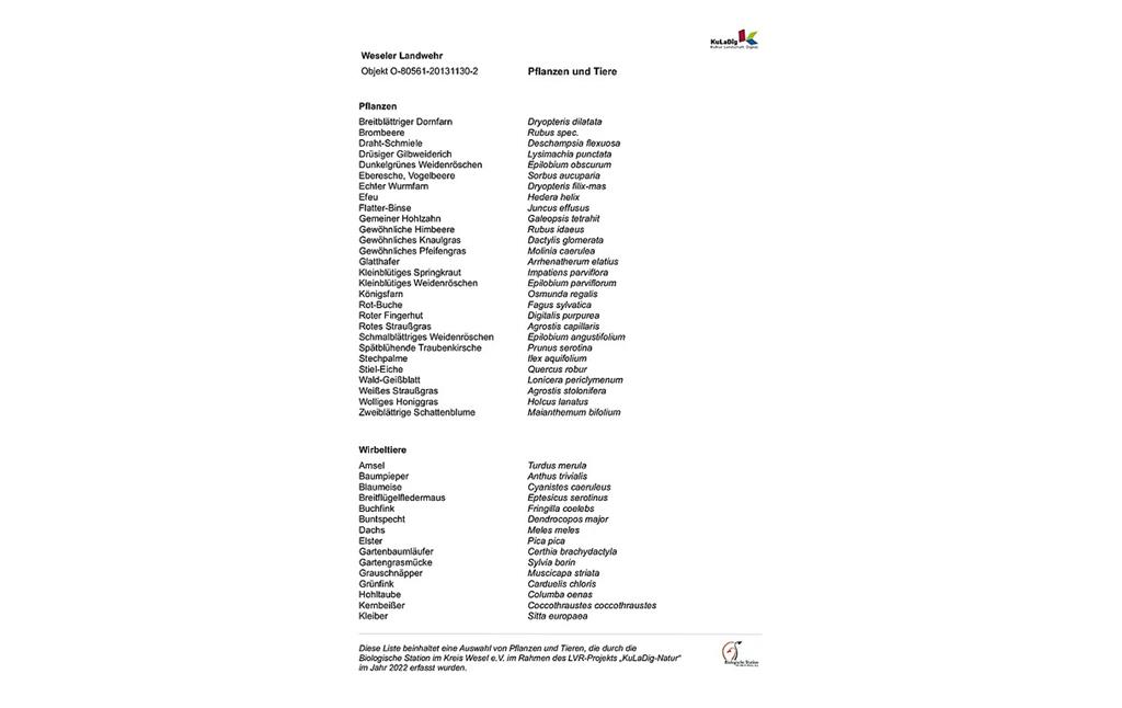 Liste von Pflanzen und Tieren an der Weseler Landwehr (2022)