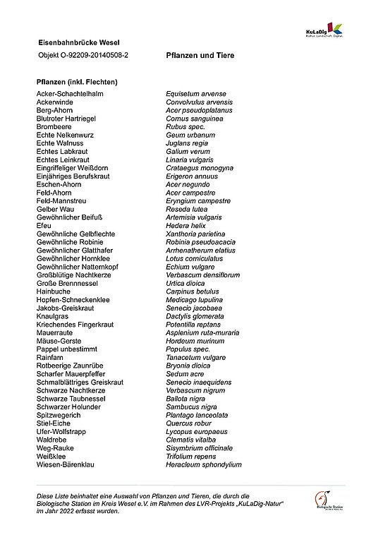 Liste von Pflanzen und Tieren an der Eisenbahnbrücke Wesel (2022)