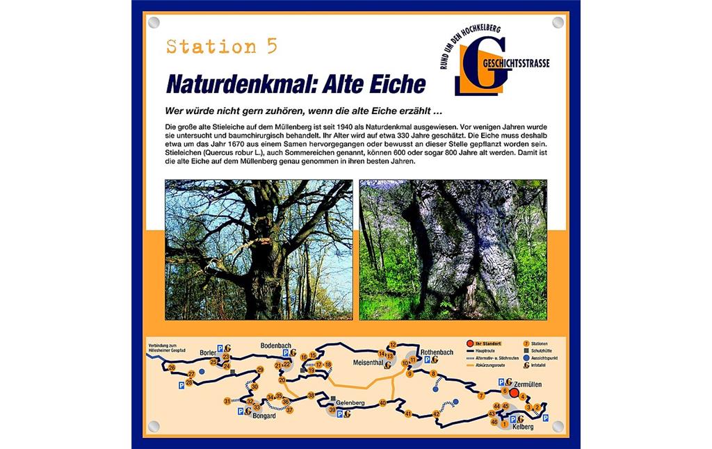Schautafel der Geschichtsstraße Kelberg zum Naturdenkmal "Alte Eiche" in Zermüllen (Station 5)