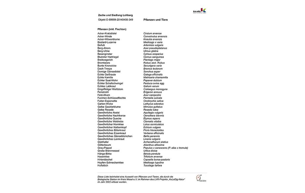 Liste von Pflanzen und Tieren im Bereich Zeche und Siedlung Lohberg (2022)