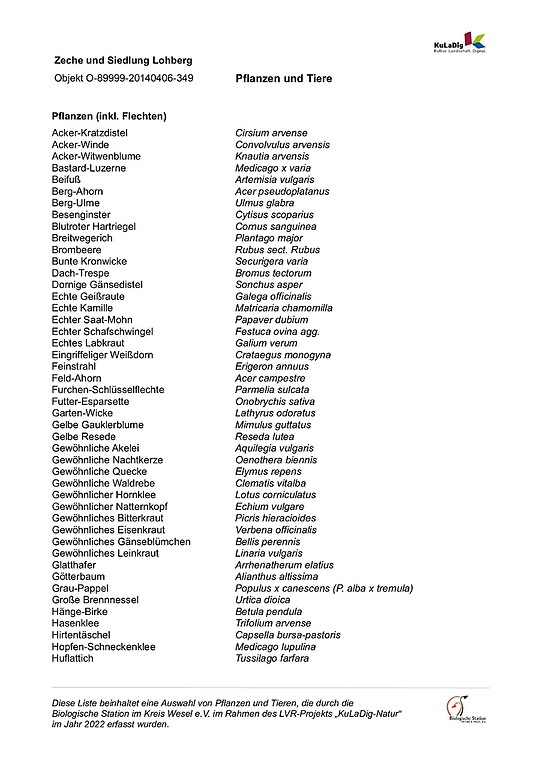Liste von Pflanzen und Tieren im Bereich Zeche und Siedlung Lohberg (2022)