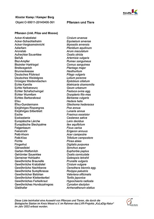 Liste von Pflanzen und Tieren am Kamper Berg / Kloster Kamp (2022)