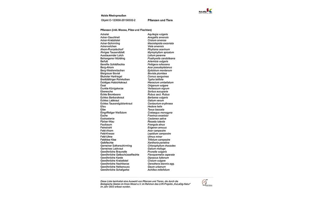 Liste von Pflanzen und Tieren auf der Halde Rheinpreußen (2022)