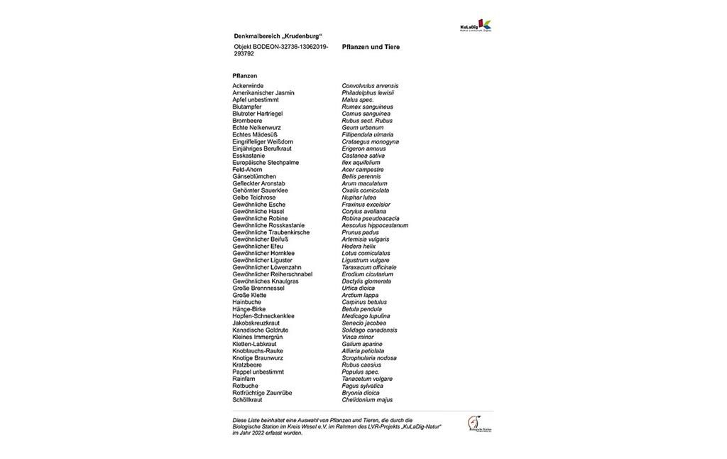 Liste von Pflanzen und Tieren im Denkmalbereich Krudenburg (2022)