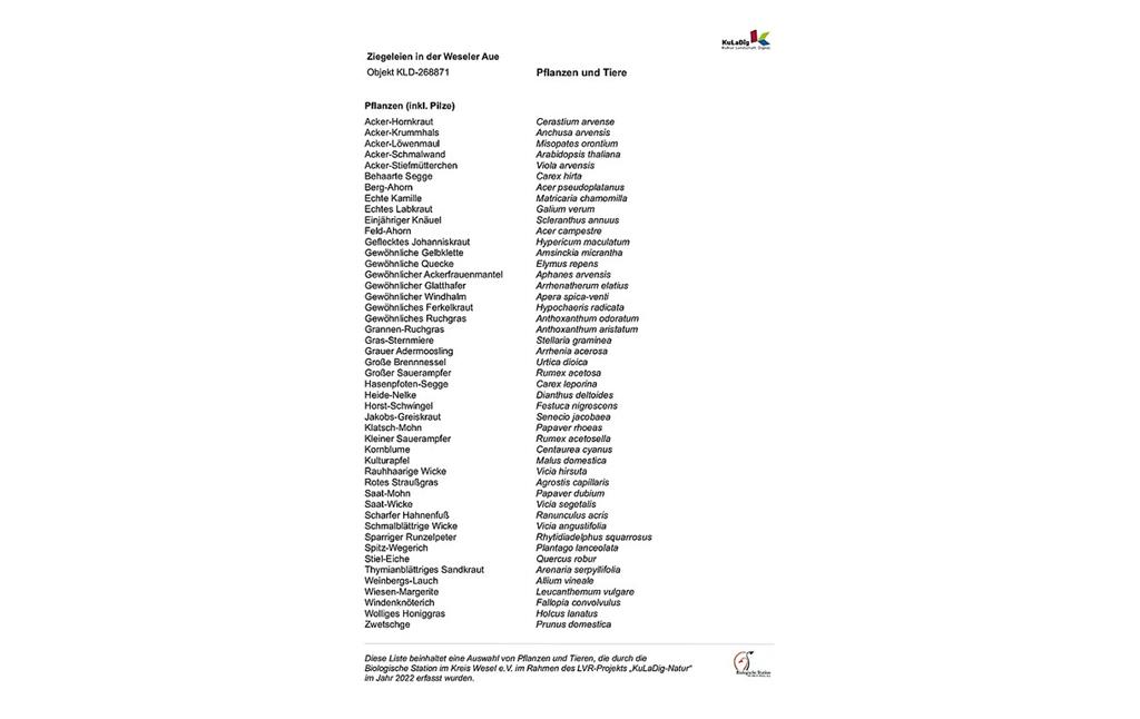 Liste von Pflanzen und Tieren im Bereich der Ziegeleien Weseler Aue (2022)