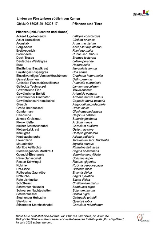 Liste von Pflanzen und Tieren in der Lindenalle am Fürstenberg (2022)