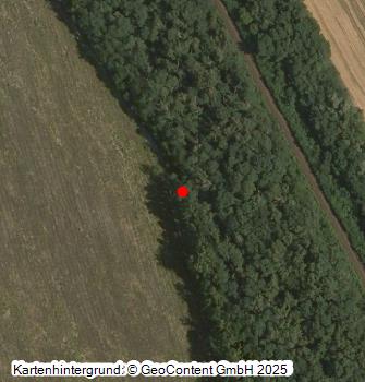 kartenausschnitt